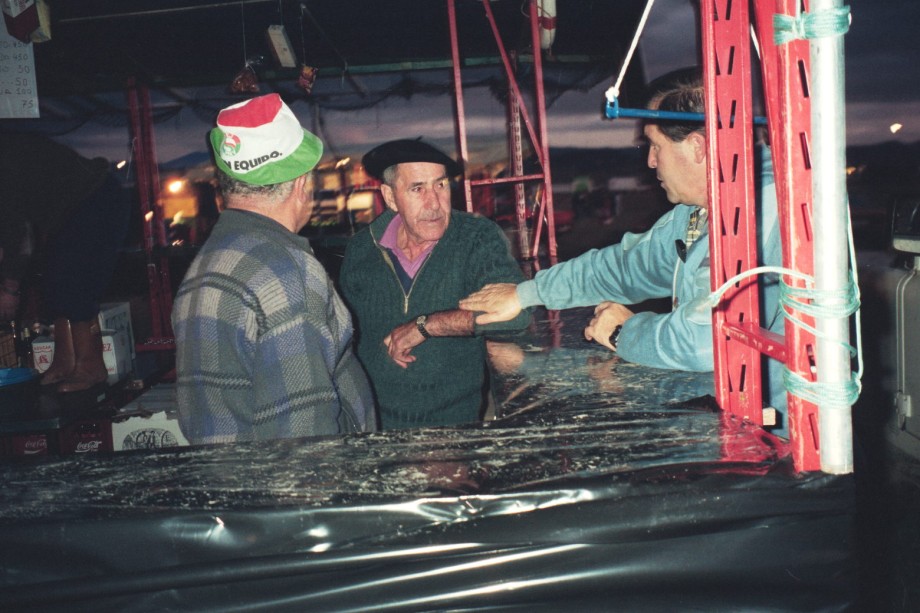 Euskal Abertzaletasunaren Museoa - Museo del Nacionalismo Vasco - Alderdi Eguna 1993