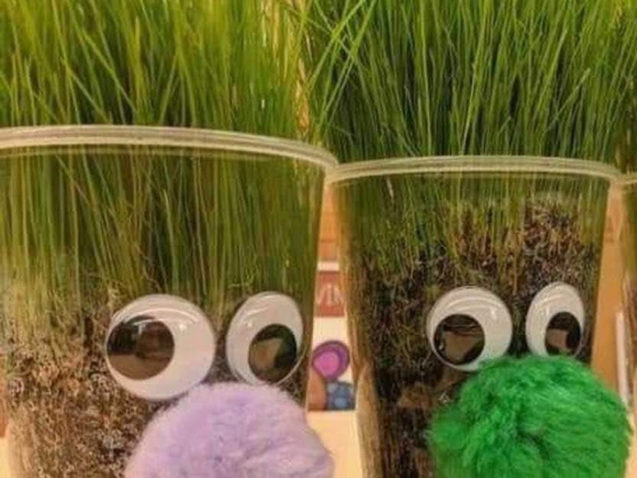 Museo del Nacionalismo Vasco - Talleres didácticos - Creciendo con el agua